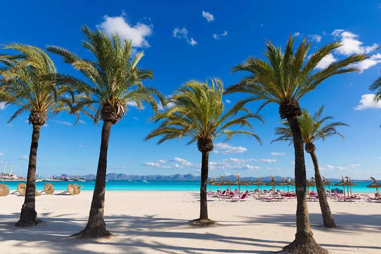Apartment Mar Del Plata In Alcudia Beach