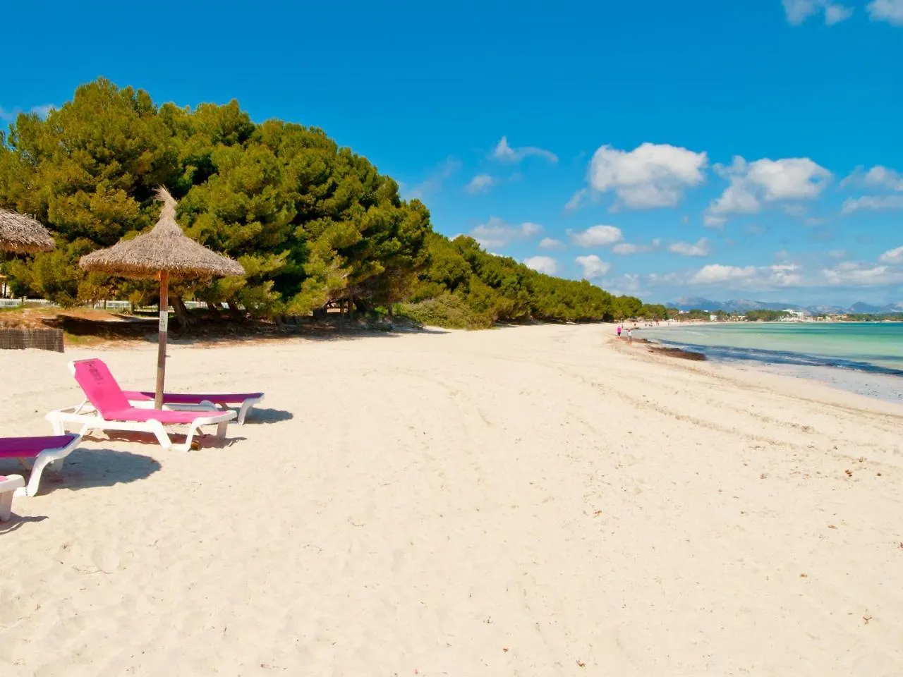 Apartment Mar Del Plata In Alcudia Beach